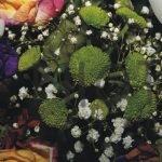 Photomuse.net a romanian stock photography start-up 24/7 since 2021