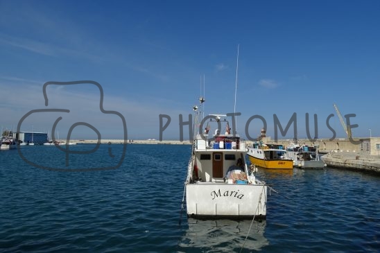 Photomuse.net a romanian photo stock 24/7 since 2021