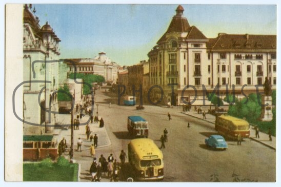 Photomuse.net a romanian stock photography start-up 24/7 since 2021