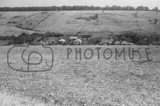 The first romanian marketplace for digital assets is ready for use