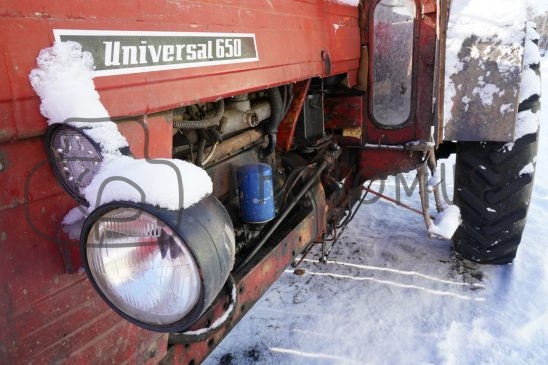 Photomuse.net a romanian stock photography start-up since 2021