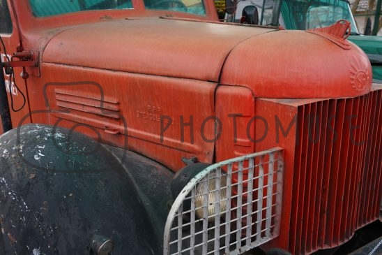 Photomuse.net a romanian stock photography start-up since 2021