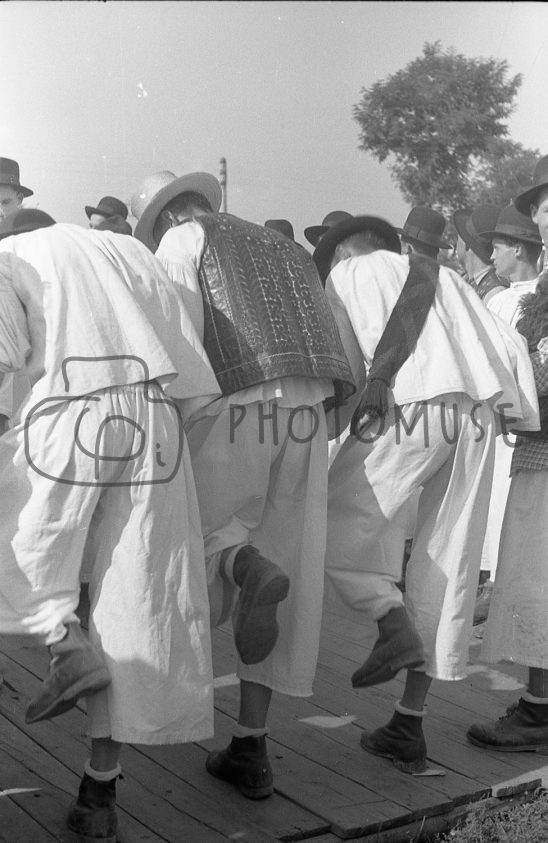 Photomuse.net a romanian photo stock 24/7 since 2021