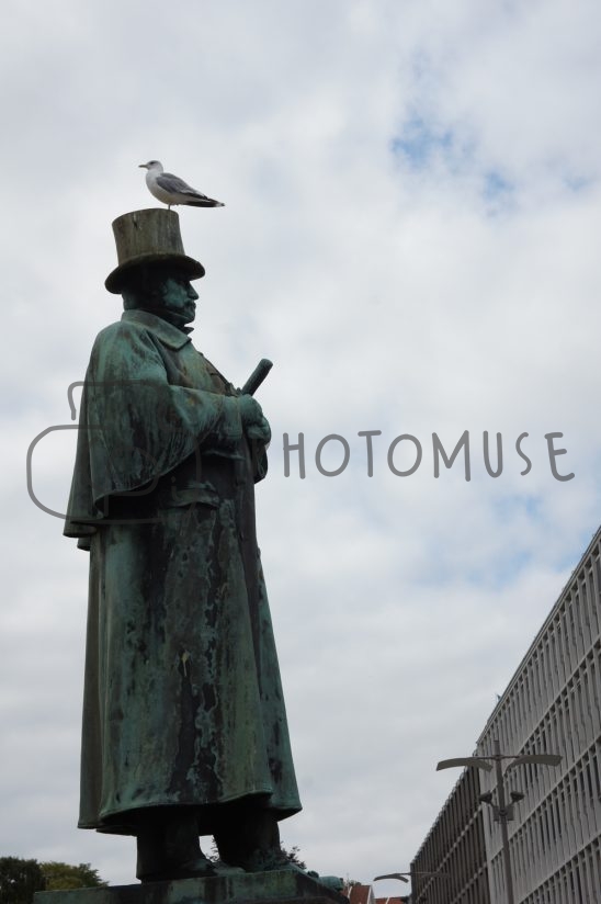 Photomuse.net a romanian photo stock 24/7 since 2021