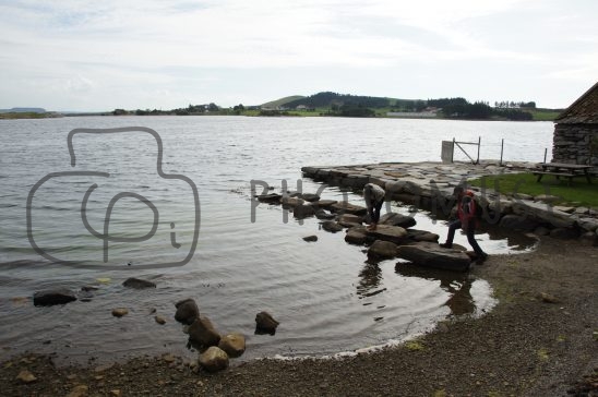 Photomuse.net a romanian photo stock 24/7 since 2021