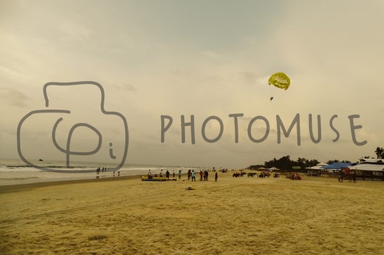 Photomuse.net a romanian stock photography start-up since 2021