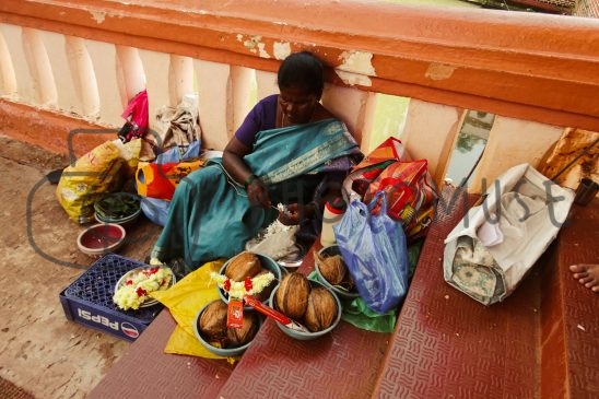 Photomuse.net a romanian stock photography start-up since 2021