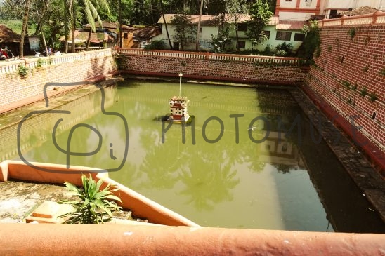 Photomuse.net a romanian stock photography start-up since 2021