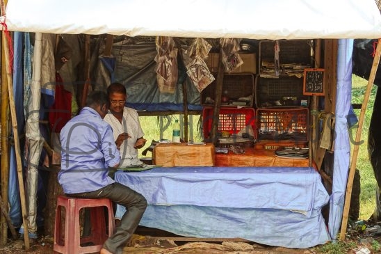 Photomuse.net a romanian stock photography start-up since 2021