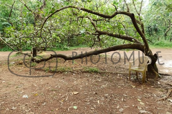 Photomuse.net a romanian stock photography start-up since 2021