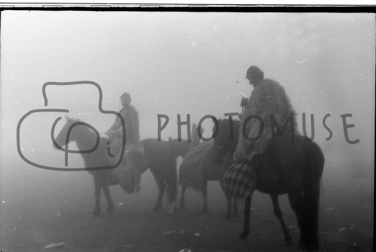 ’50s, shepherds with horses in mountain fog, Romania