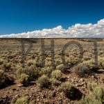 Landscape from Cumbres & Toltec Scenic Railroad, New Mexico, Colorado