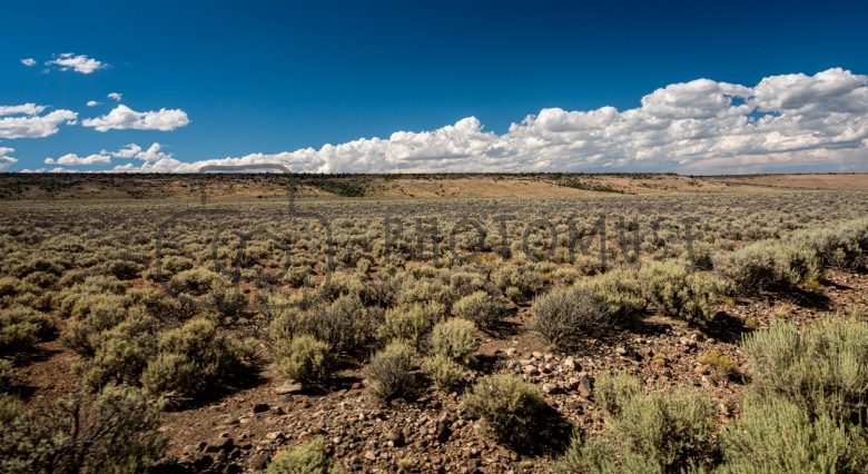 Landscape from Cumbres & Toltec Scenic Railroad, New Mexico, Colorado